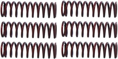 TRW Clutch spring kit mef306-6