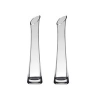 Set van 2x stuks transparante flutes vaas/vazen van glas 25 x 6 cm