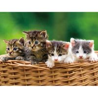 Placemats katten/kittens 3D effect 30 x 40 cm - thumbnail