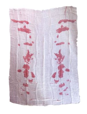Tafelkleed bloed 213x152 cm