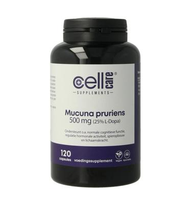 Mucuna pruriens 500mg (25% L-dopa)