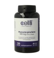 Mucuna pruriens 500mg (25% L-dopa)