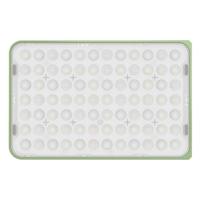 amaran Ace 25x Green