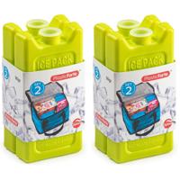 Plasticforte kleine koelelementen - 4x stuks - groen - 11 x 5.5 cm - kunststof - goede kwaliteit