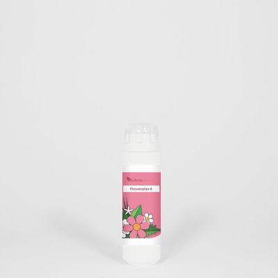HFP006 Vitaliteit flowerplex