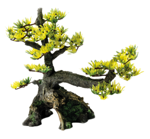 Superfish Deco Bonsai M - Duurzame Hars Aquarium Decoratie voor Middelgrote Tanks