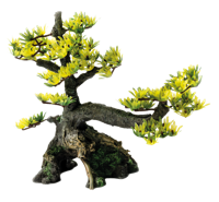 Superfish Deco Bonsai M - Duurzame Hars Aquarium Decoratie voor Middelgrote Tanks