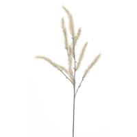 Betula spray bruin 68 cm kunsttak Buitengewoon de Boet - Buitengewoon de boet