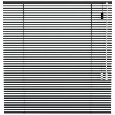 Leen Bakker - Fenstr Jaloezie 25mm Standaard Lak - Antraciet (20715) - Aluminium - Grijs - 120x10x10 Cm