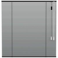 Leen Bakker - Fenstr Jaloezie 25mm Standaard Lak - Antraciet (20715) - Aluminium - Grijs - 120x10x10 Cm
