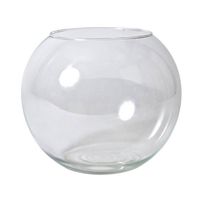 Gerimport Bol vaas/terrarium - D25 x H21 cm - glas - transparant - Vazen