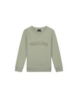 Malelions Sweater paint - Zeegras