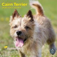 Cairn Terrier Kalender 2026