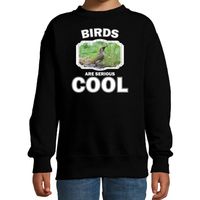 Sweater birds are serious cool zwart kinderen - vogels/ groene specht trui