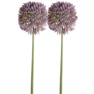 Emerald Allium/Sierui kunstbloem - 2x - losse steel - lila paars - 65 cm - Natuurlijke uitstraling - Kunstbloemen