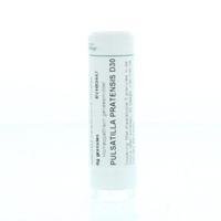 Pulsatilla pratensis D30 6 Gram