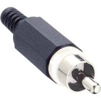 Lumberg XSTO 1-WH Cinch-connector Stekker, recht Aantal polen: 2 Wit 1 stuk(s) - thumbnail