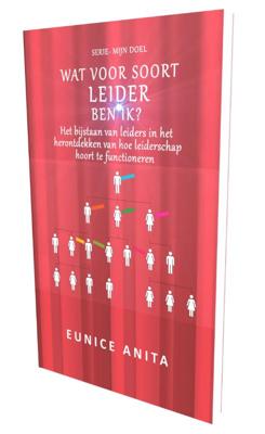 Wat voor soort leider ben IK? (Paperback)