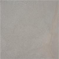 Vloer-/wandtegel grijs Casalgrande Padana Amazzonia 60x60cm dragon grey mat