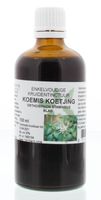 Orthosiphon stamineus / koemis koetjing tinctuur