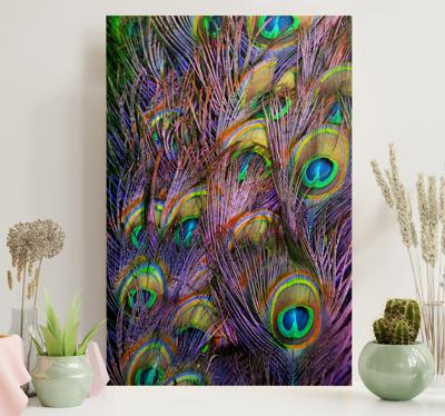 Canvas schilderij vogels Pauwenveer