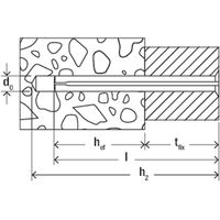 Fischer 541893 schroefanker & muurplug 100 stuk(s) 50 mm - thumbnail