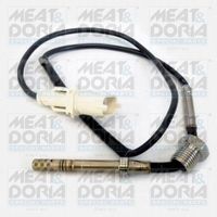Sensor, uitlaatgastemperatuur 12146