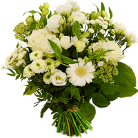 Witte vaderdag bloemen bestellen - thumbnail