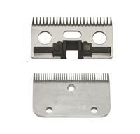 Constanta Messenset rodeo 2435tds