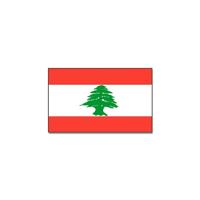 Vlag Libanon van 90 x 150 cm - feestartikelen - Landen thema supporters
