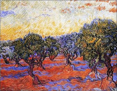 Kunstdruk Vincent Van Gogh - Uliveto 30x24cm
