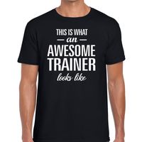 Awesome trainer cadeau t-shirt zwart voor heren - thumbnail
