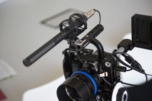 RØDE NTG-4+ microfoon Zwart Microfoon voor digitale camera