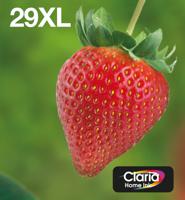 Epson Strawberry Multipack 4-colours 29XL EasyMail - thumbnail