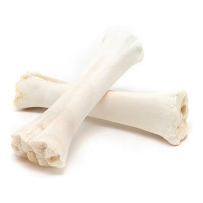 Hondensnoepjes Gloria Bot Calcium 20 Stuks
