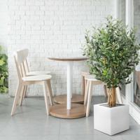 Kunst Olijfboom deluxe 120cm