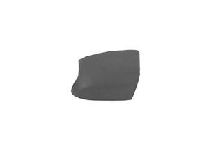Spiegelkap Rechts Ford Focus 05+ Ghia 1863844