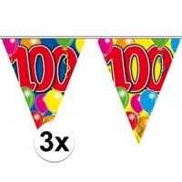 Vlaggenlijn 100 jaar - 3x - 10 meter - plastic - Leeftijd - 100e verjaardag - versiering