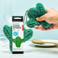 Cactus schuursponsjes (set van 2)