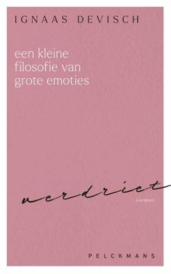 Een kleine filosofie van grote emoties: Verdriet (Paperback)