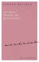 Een kleine filosofie van grote emoties: Verdriet (Paperback)