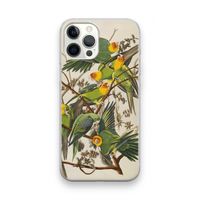 Carolinaparkiet: iPhone 12 Pro Max Transparant Hoesje