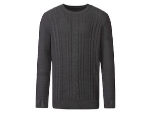 Heren grofgebreide pullover (L (52/54), Grijs)