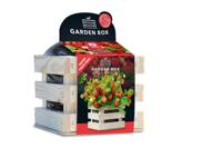 Baza garden box bosaardbei