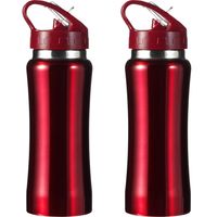 Set van 2x stuks luxe Drinkfles/waterfles 600 ml rood van RVS