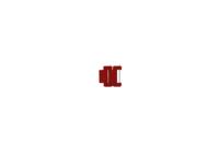 Diesel Bandschakels DZ7430 - 24mm - (2 stuks)