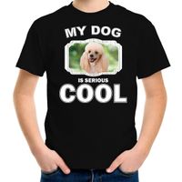 Poedel honden t-shirt my dog is serious cool zwart voor kinderen - thumbnail