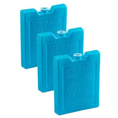Plasticforte Koelelementen - 6x stuks - 260 grams - 13 x 10 cm - blauw - kunststof