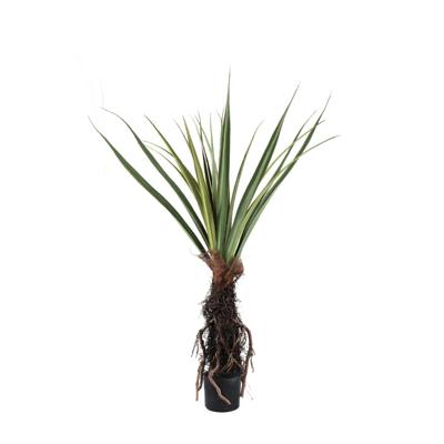 Kunstplant Pandanus - 150 cm