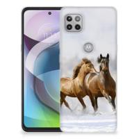 Motorola Moto G 5G | TPU Hoesje | Paarden